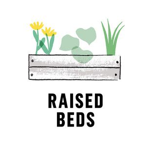 Vegetable garden: Raised Beds