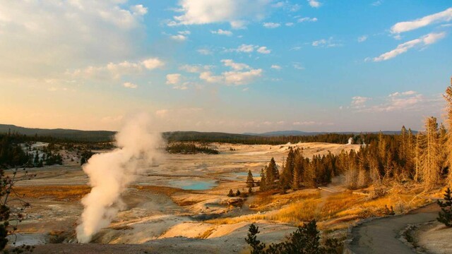 Yellowstone National Park Webcams to Experience the Great Outdoors | Travel + Leisure