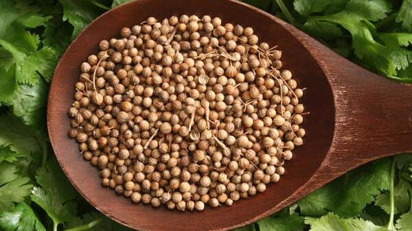 Coriander Substitute What Can You Use Instead Myrecipes