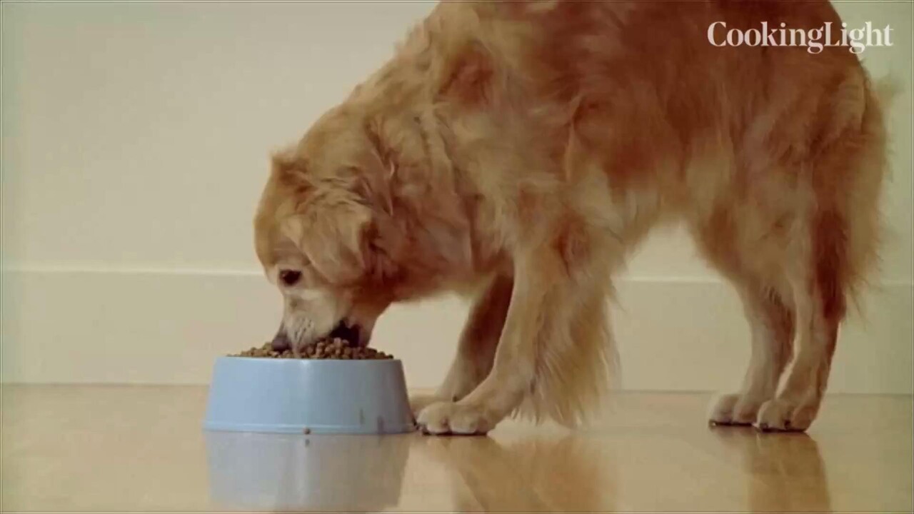 Fda Expands Massive Dog Food Recall Due To Vitamin D Toxicity Cooking Light