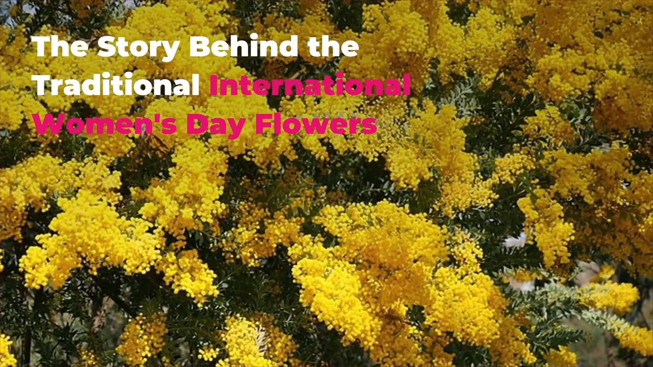 Featured image of post International Women&#039;s Day Flowers Images