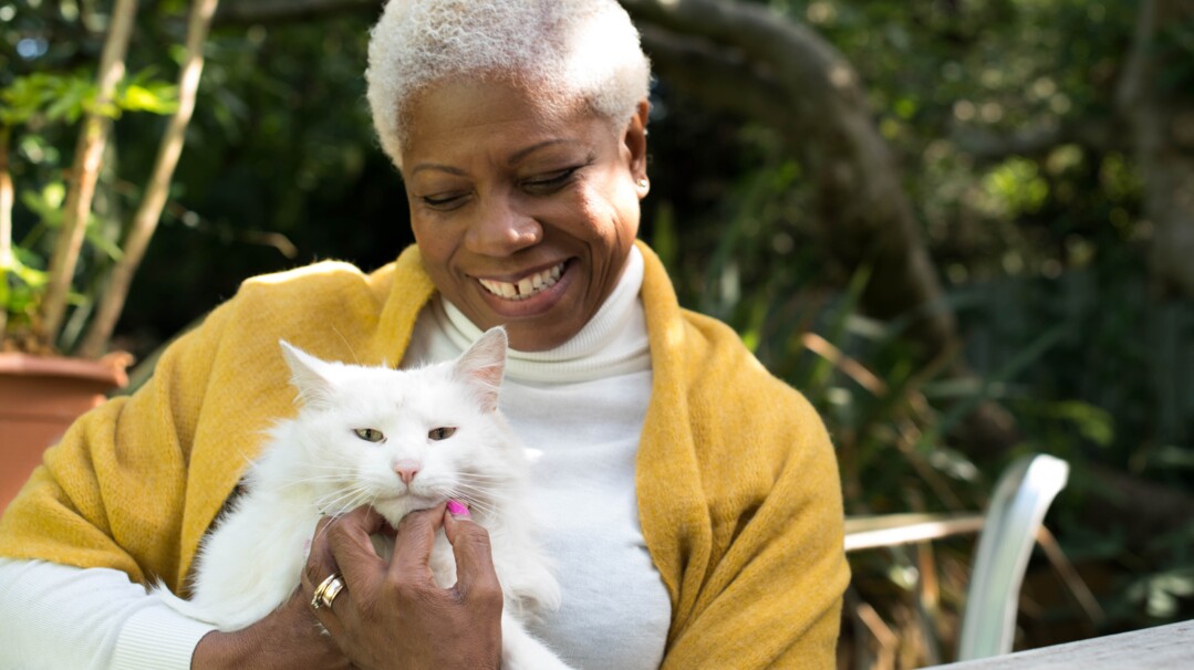 Martha Stewart Pets Cat Litter Box