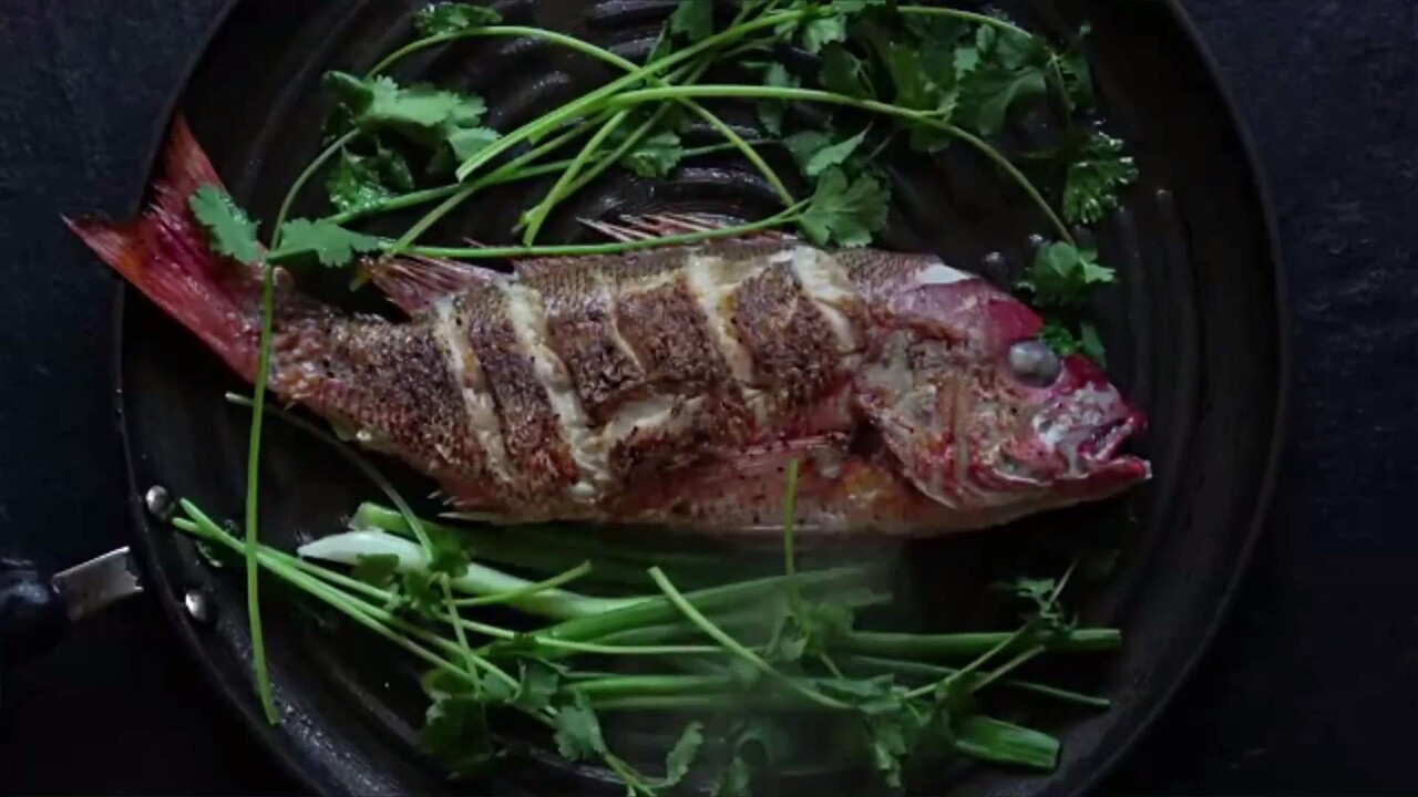 The 7 Golden Rules For Making Perfect Pan Fried Fish Food Wine