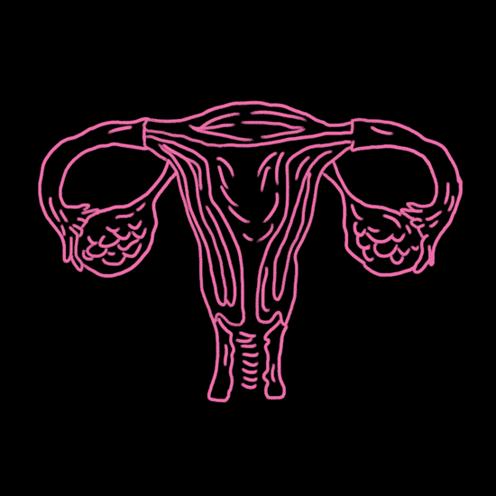 uterus.gif
