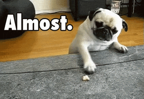 almost-there-pug-gif.gif