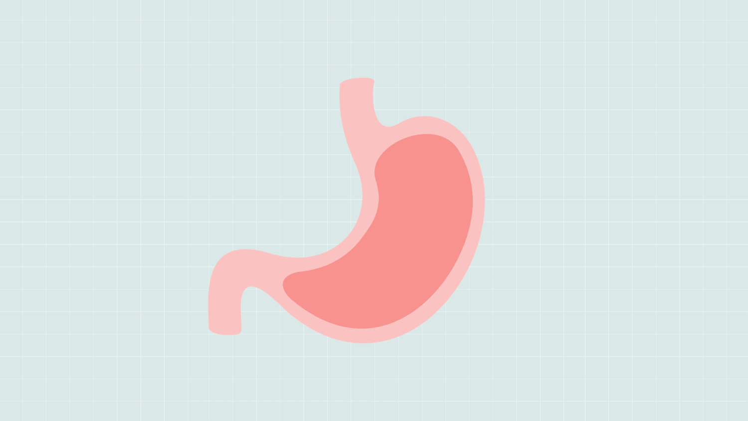 An animated illustration of a stomach filling up with food