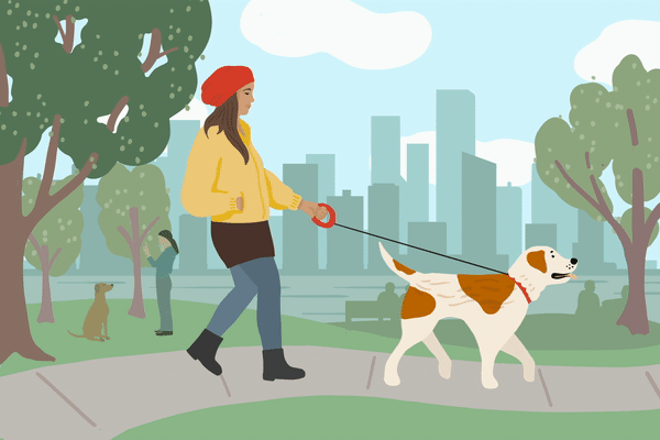 Woman walking her dog in a park with a city skyline in the background, hoping to help her pet relieve his constipation with movement