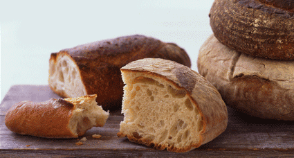 Ultimate Bread Guide