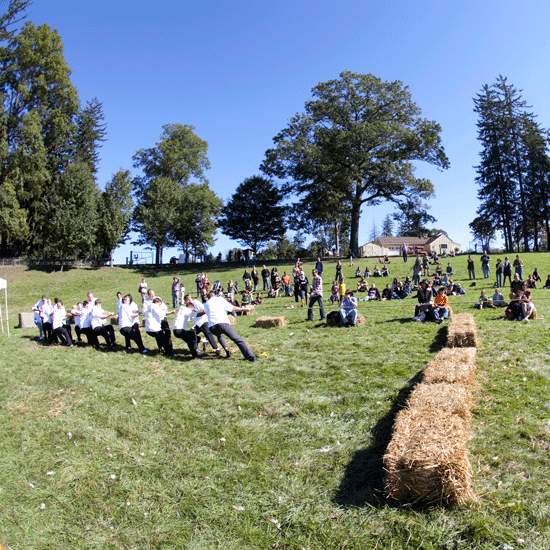 Best Harvest Festivals: Stone Barns Harvest Fest