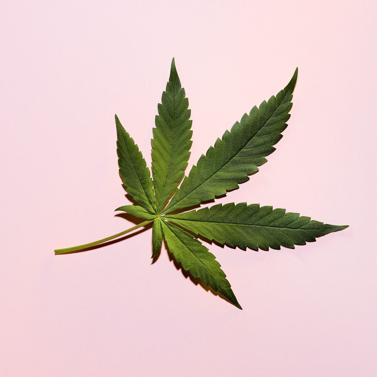 Marijuana for Better Sperm Quality? The Facts Behind That Surprising New Study