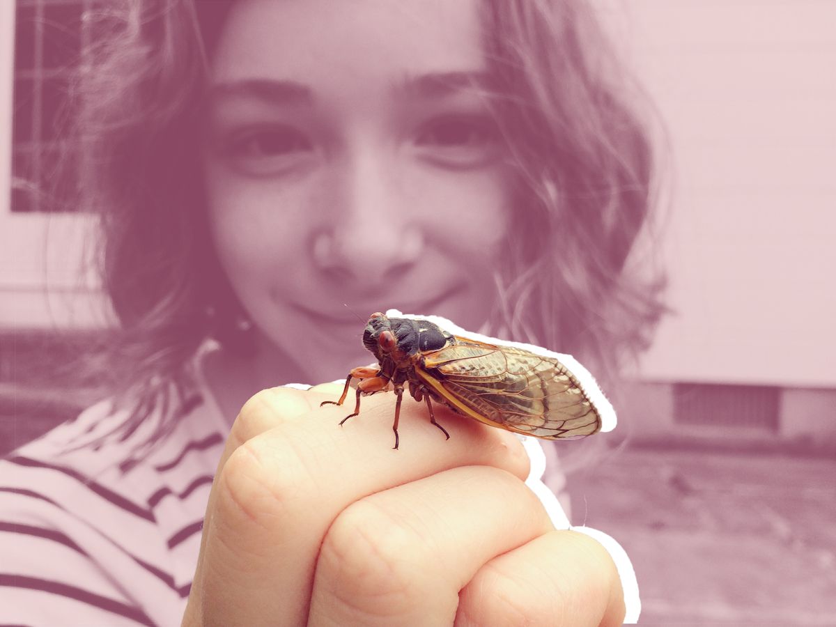 Why the FDA Is Warning Some People Not to Eat Cicadas