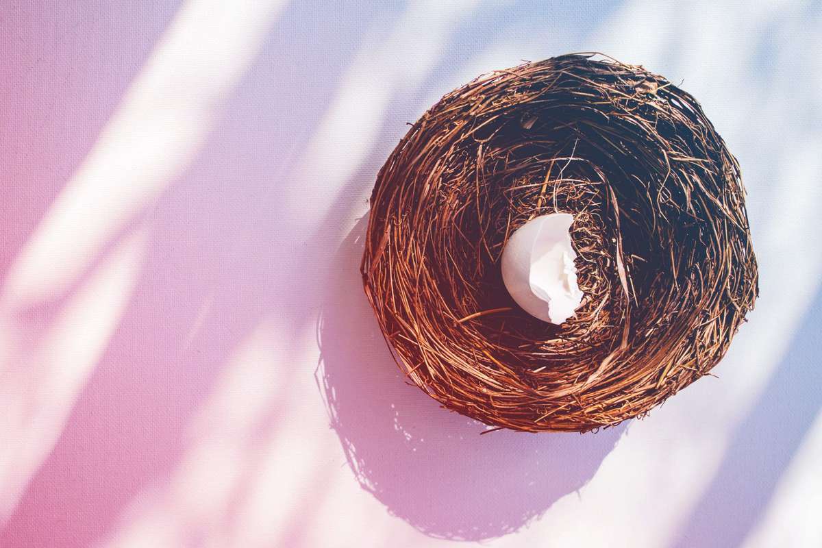 What is Empty Nest Syndrome? A Family Therapist Explains Symptoms and How to Cope