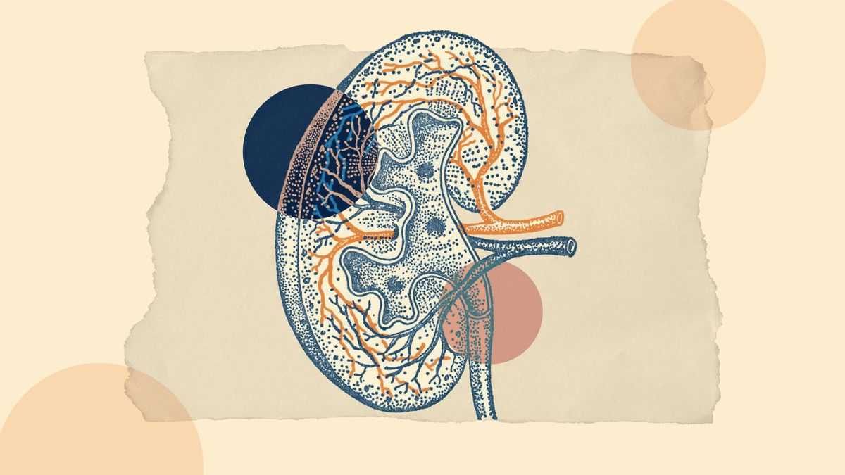 This Type of Kidney Disease Is Genetic—and the Sooner It's Diagnosed, the Better