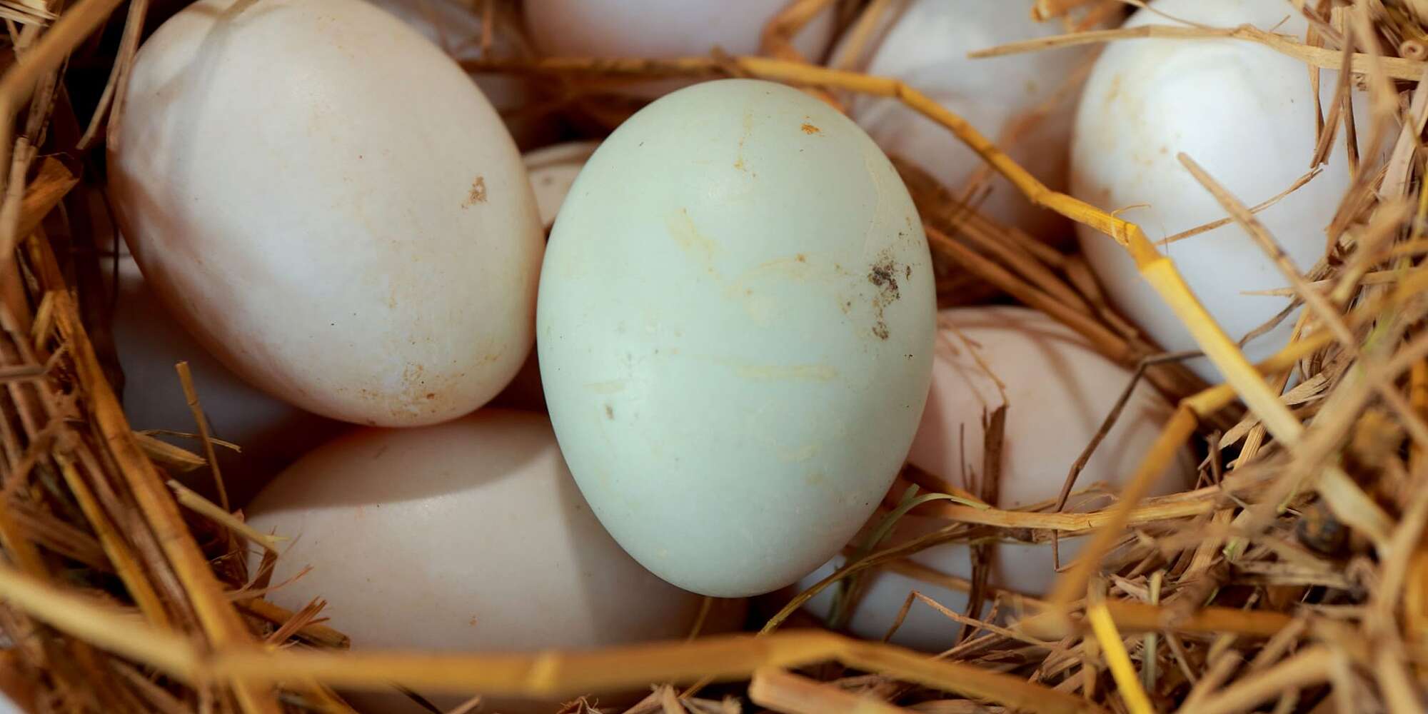 How to Wash Fresh Eggs and When It's Best to Leave Them Unwashed