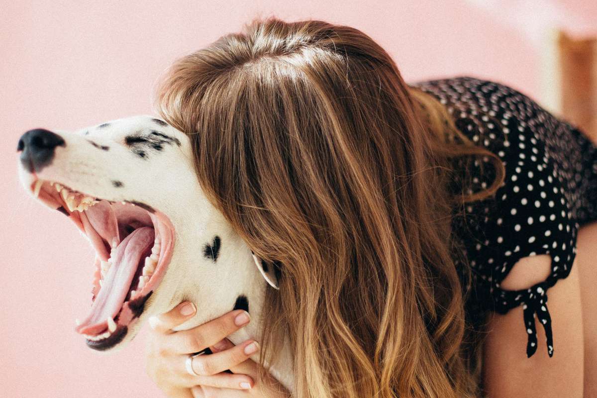 How to Improve Your Pet's Mood, According to Experts