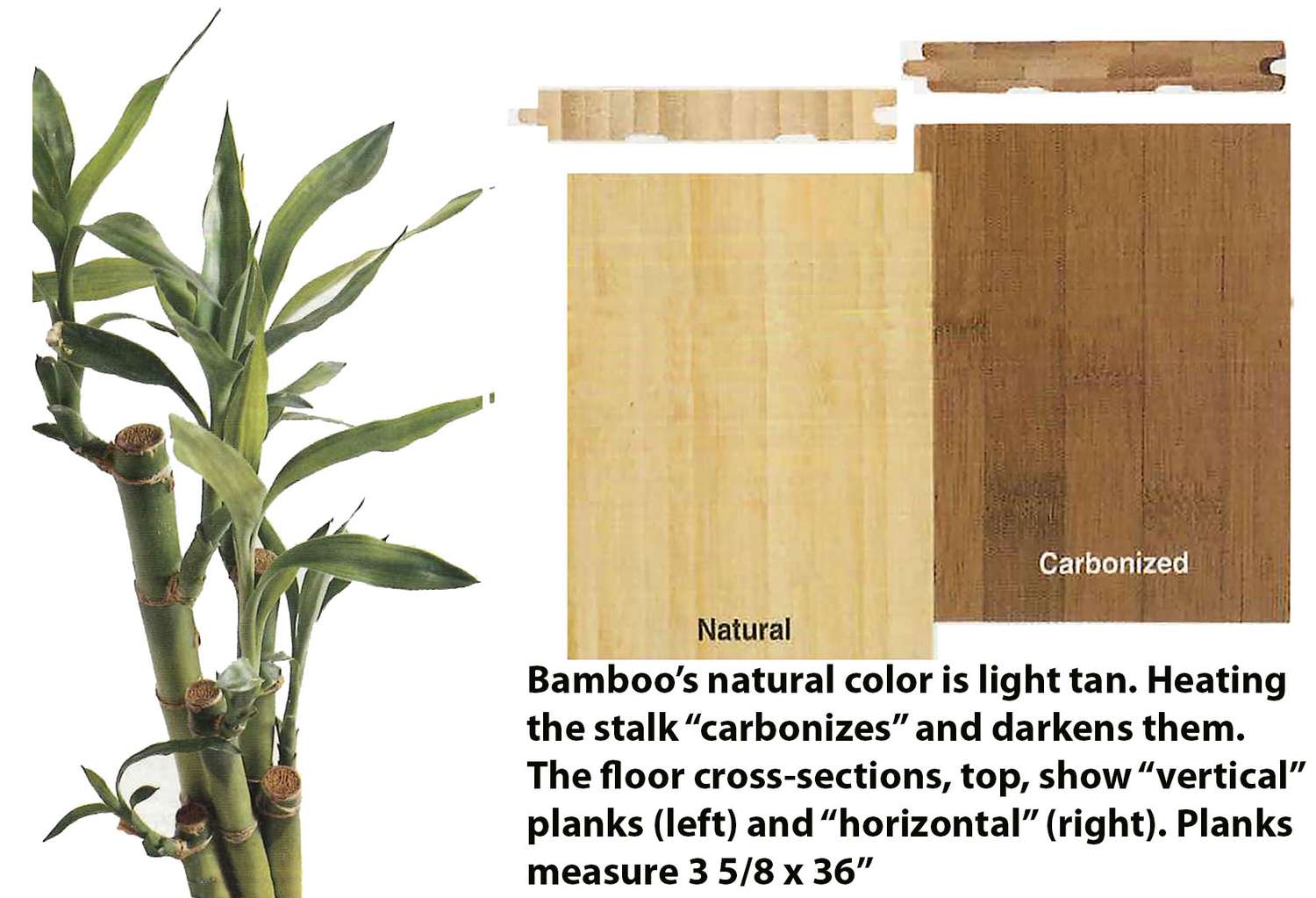Bamboo Veneer Carbonized Vertical: Natural Bamboo Wood Veneers
