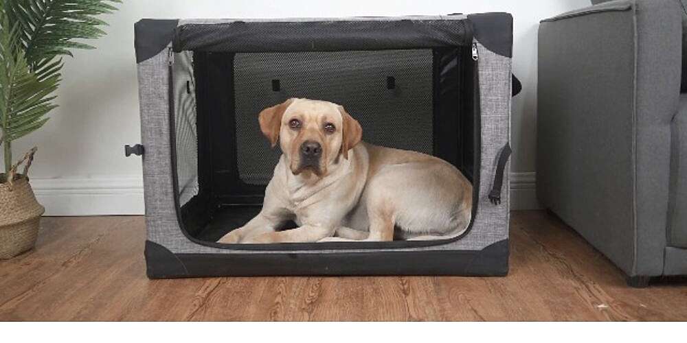 Basics Folding Portable Soft Pet Crate Reviews: Does It Work? - Paw  of Approval - The Dodo