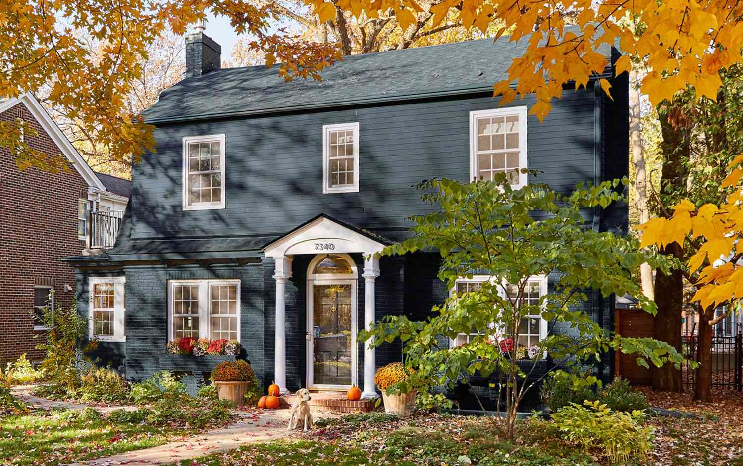 Two story grey house with Fall foliage
