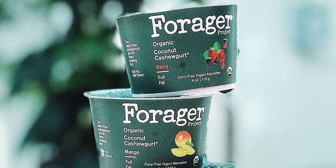 forager-organic-coconut-cashewgurt-review-rachael-ray-in-season