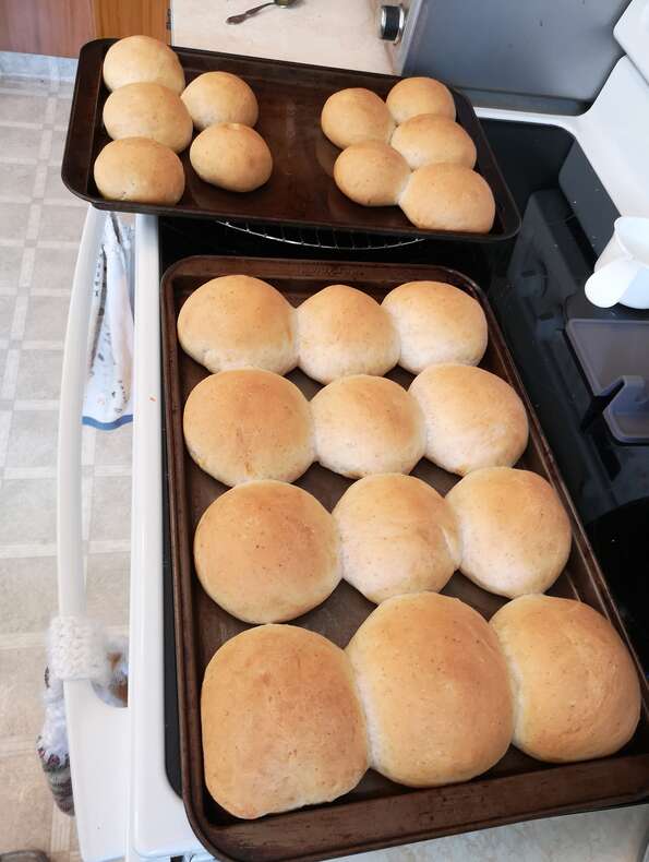 Old-Fashioned Southern Rolls 