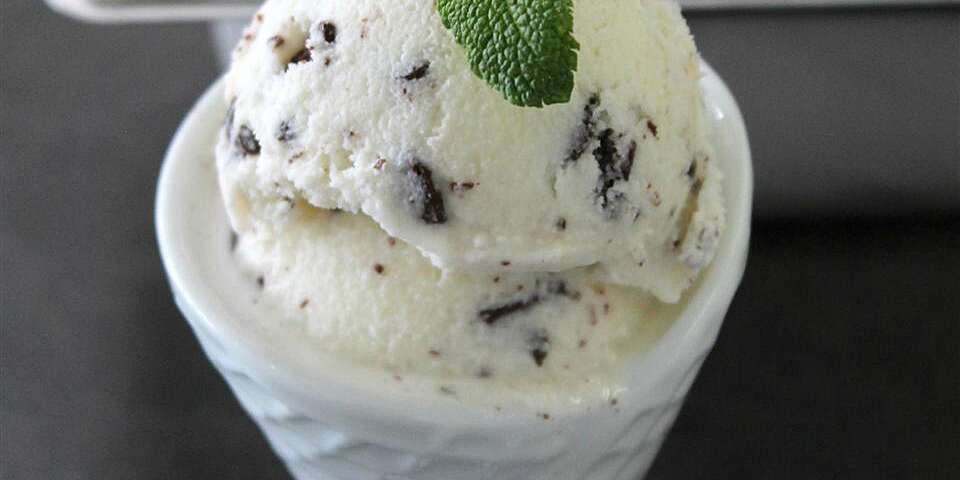 Mint-Chip Coconut Milk Ice Cream Recipe | Allrecipes
