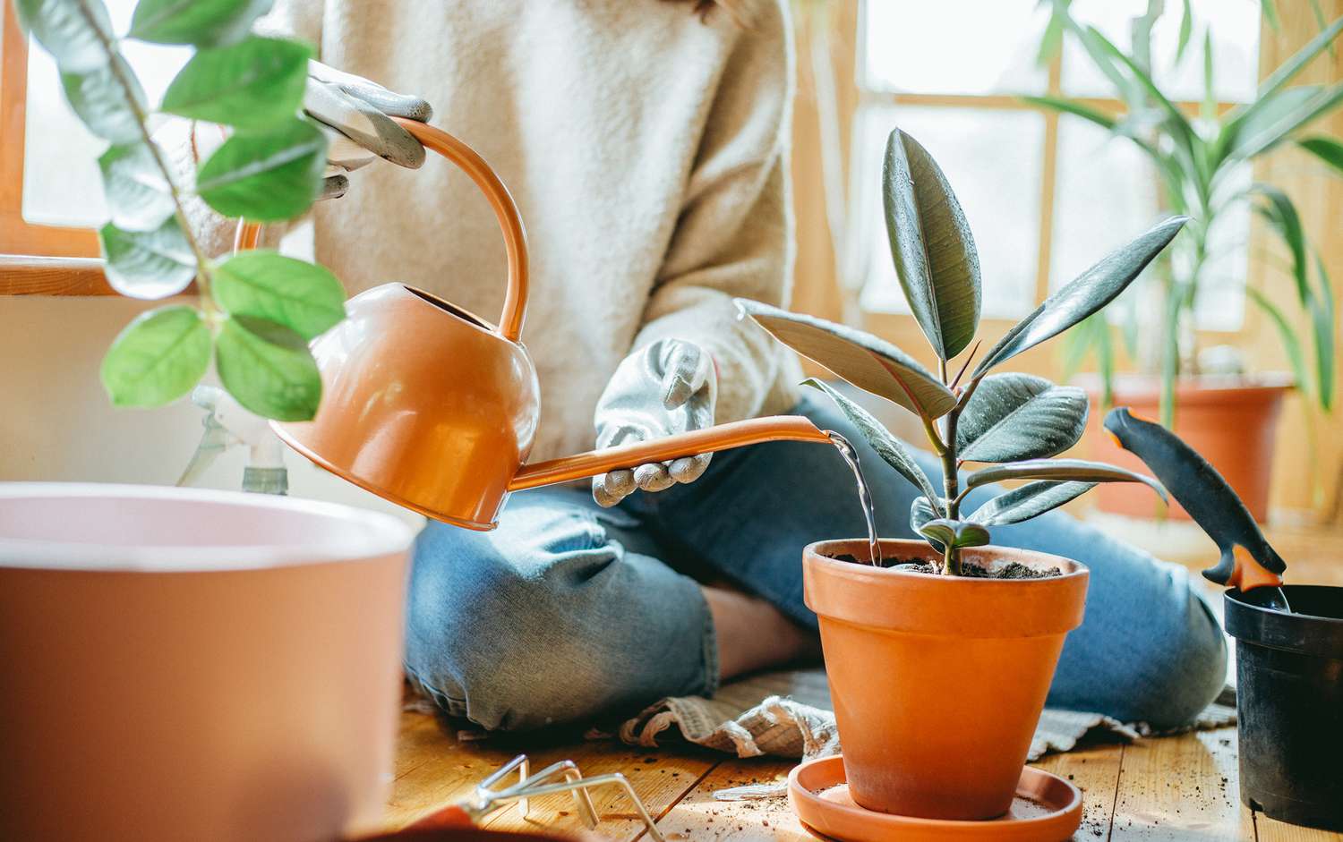 How to Water Houseplants (and How to Know if You're Overwatering) | Better Homes & Gardens