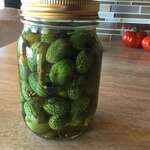 Pickled Cucamelons (Sour Gherkins): Easy Refrigerator Pickles ~ Homestead  and Chill