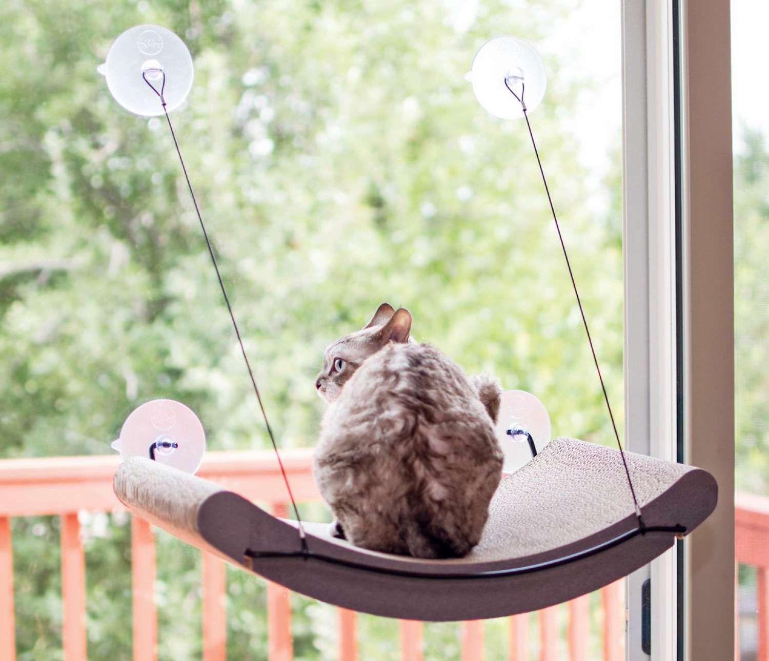 PetrPaiet Cat Window Perch Window Mounted Cat Bed Cat Hammock Window Seat with Durable Heavy Duty Suction Cups Extra Large Sturdy Space Saving Cat Bed for Large Cats 