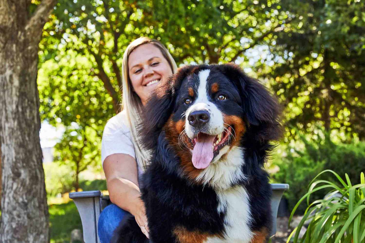 225+ Bernese Mountain Dog Names For Your Big-Hearted Berner | Daily Paws