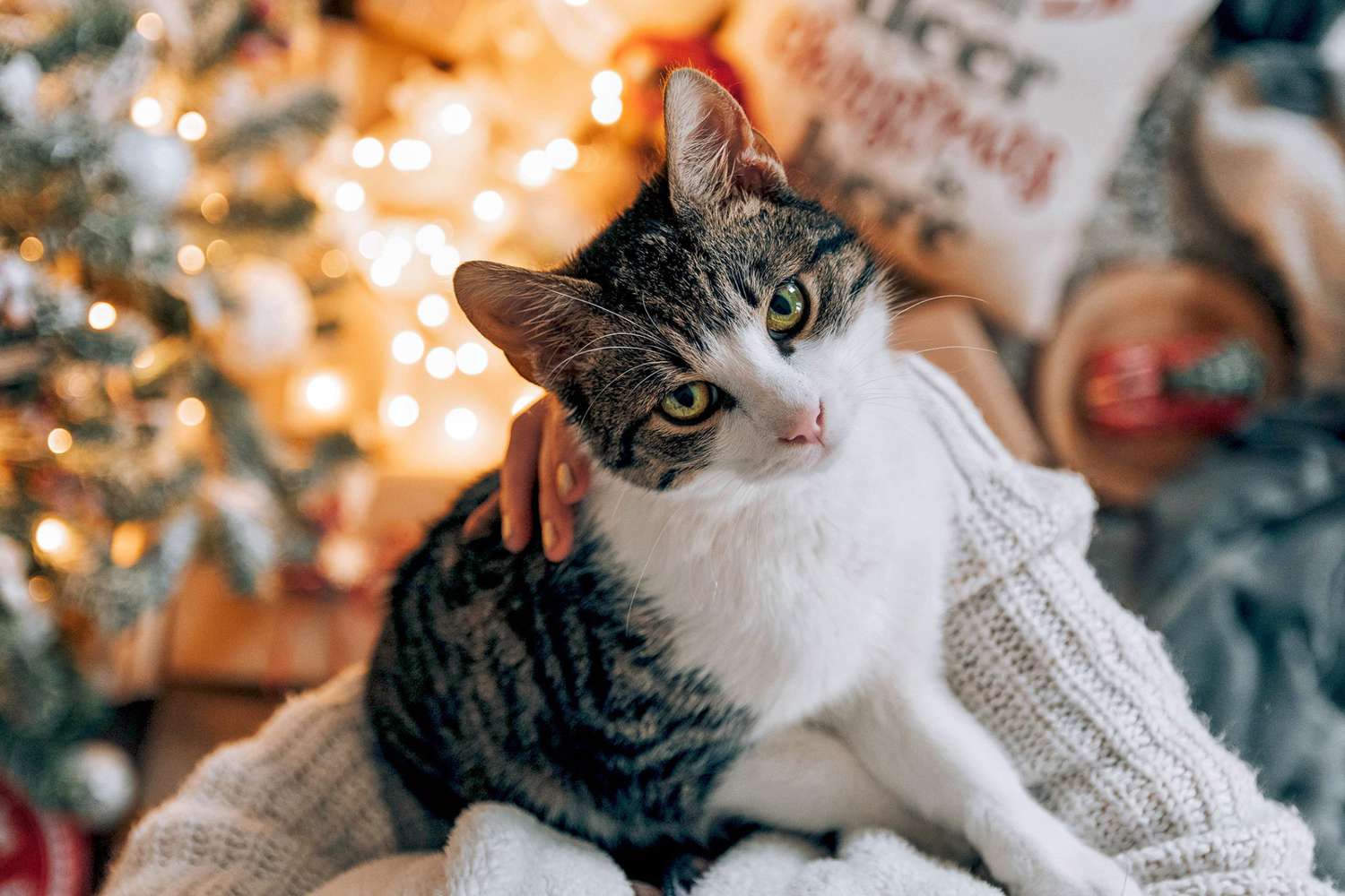 PET KITTY CAT FELINE CHRISTMAS STOCKING RED & WHITE FLEECE MEOWY 17" DIAGONAL 