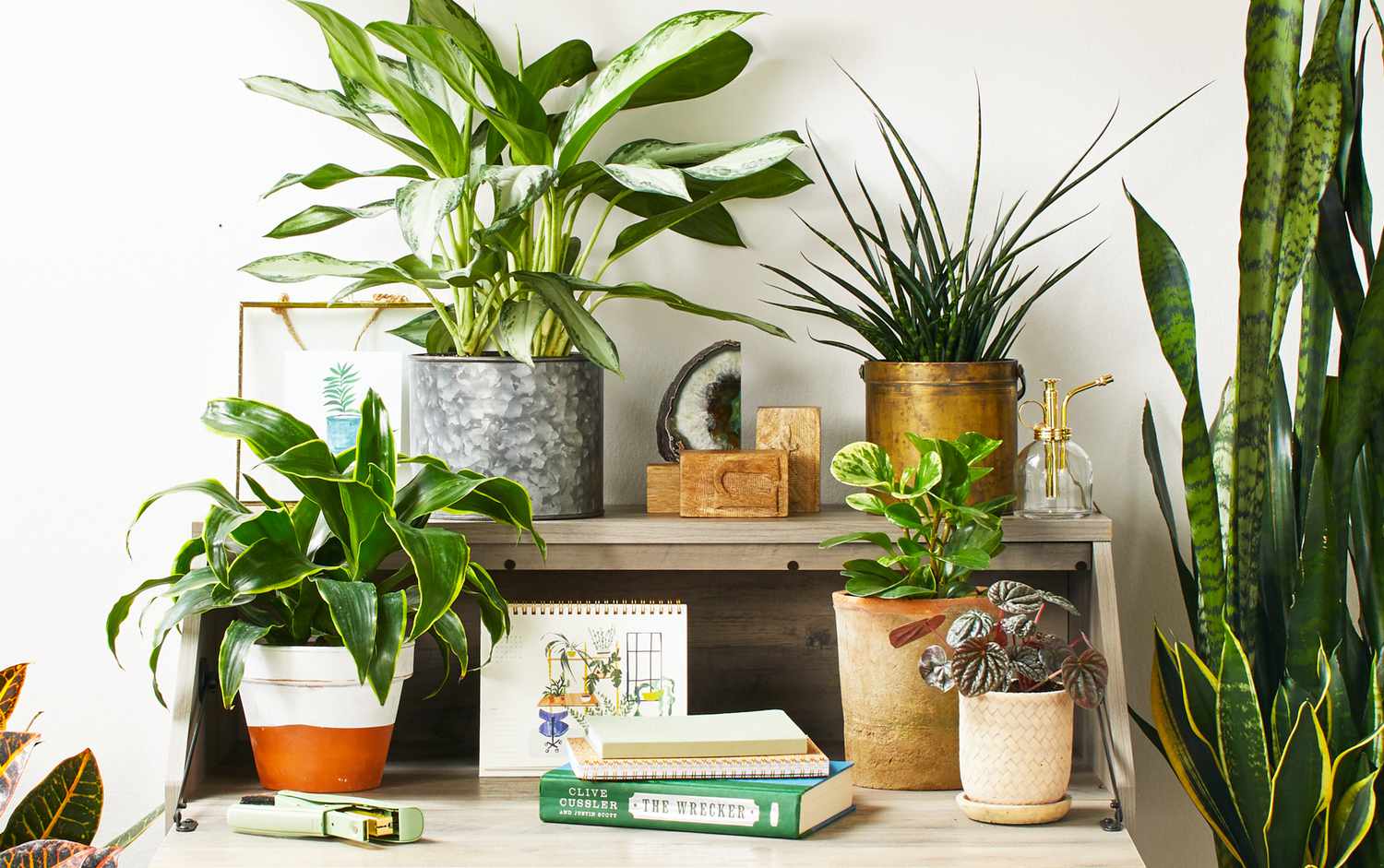 10 Pieces Cute Plastic Plants Pots for Succulent Cactus 5 Colors Home Flowerpot 
