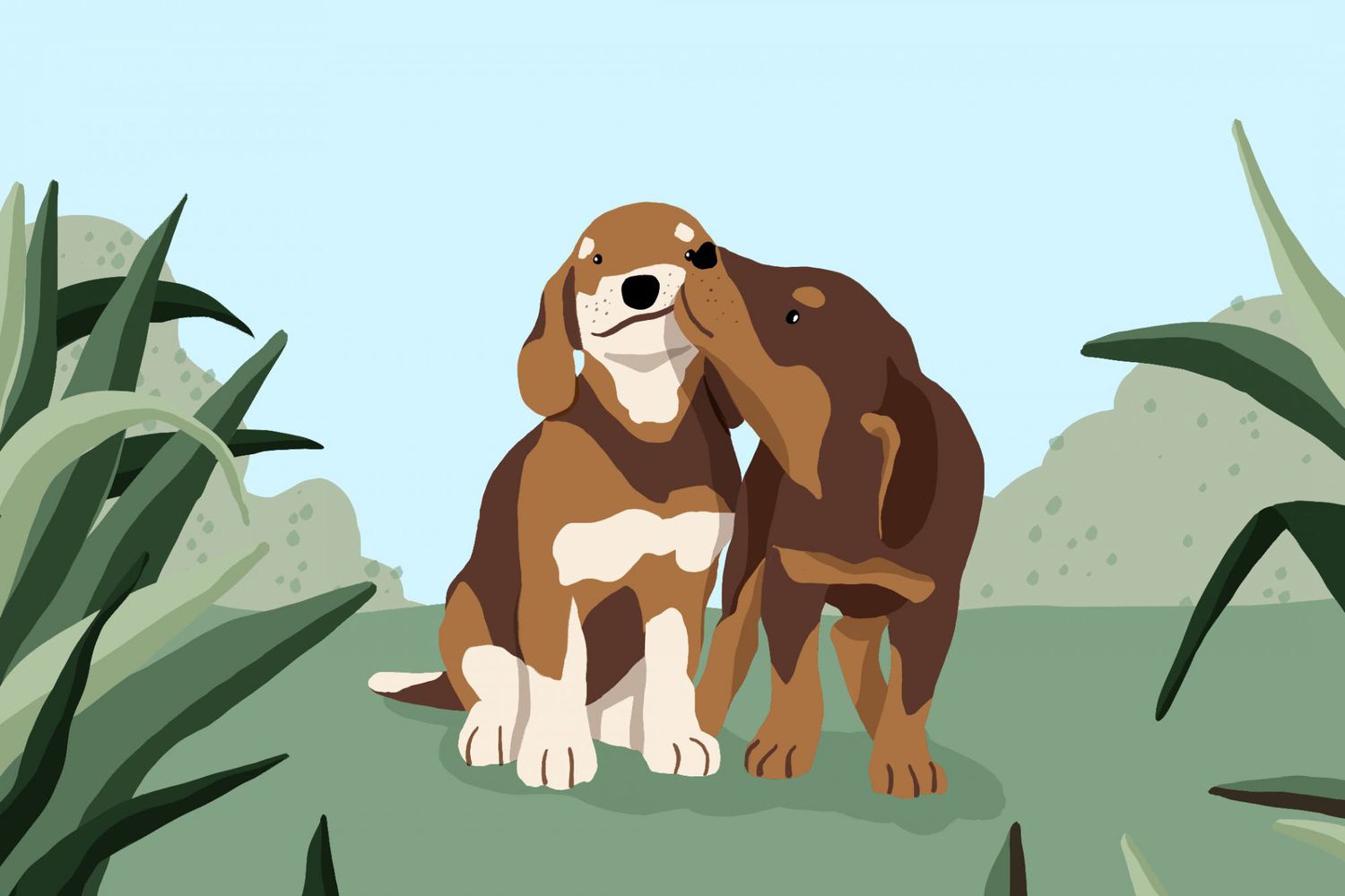 Why Do Dogs Get Stuck Together When They Mate? | Daily Paws