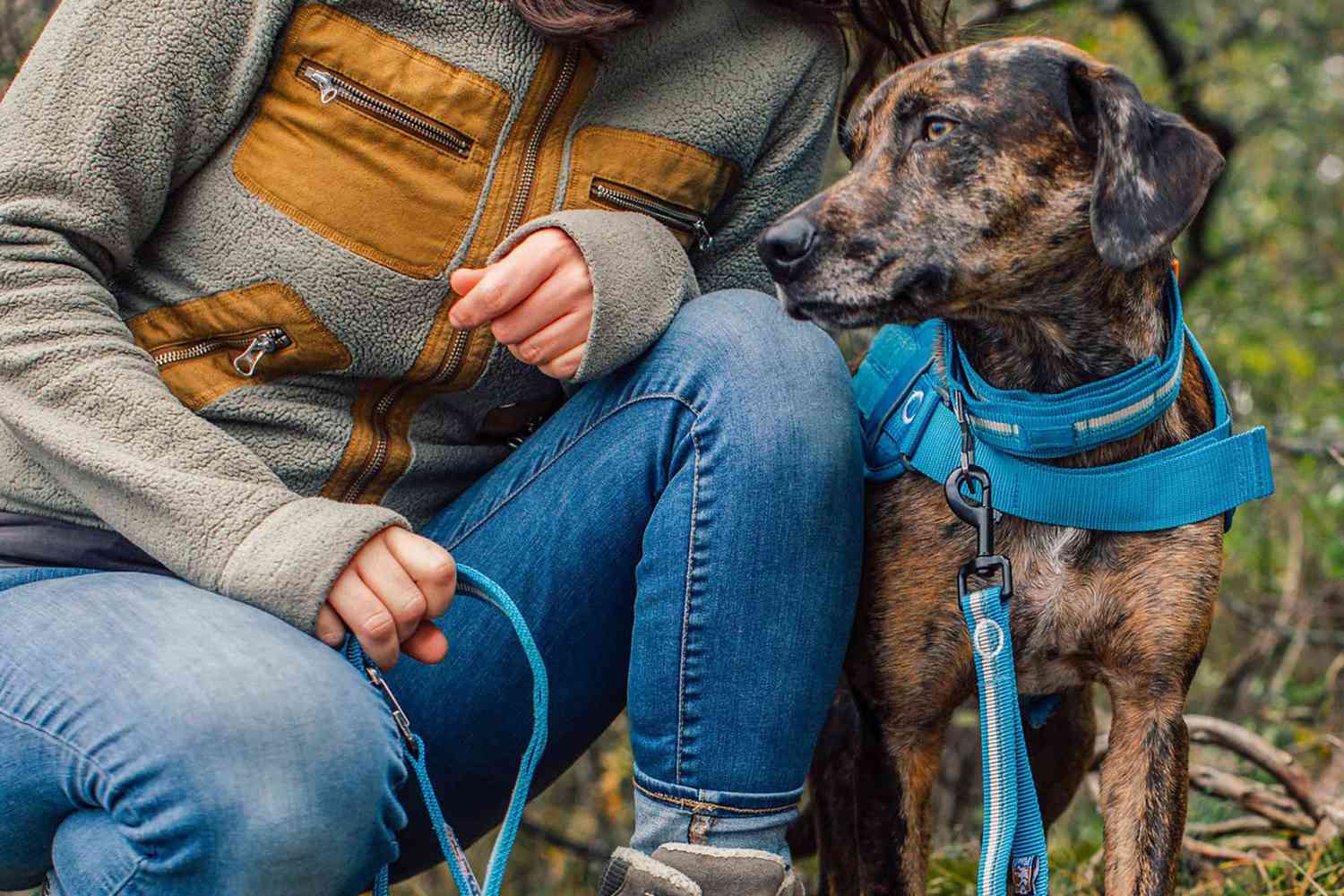 The Best Dog Training Leashes, According to Dog Trainers and Vet ...