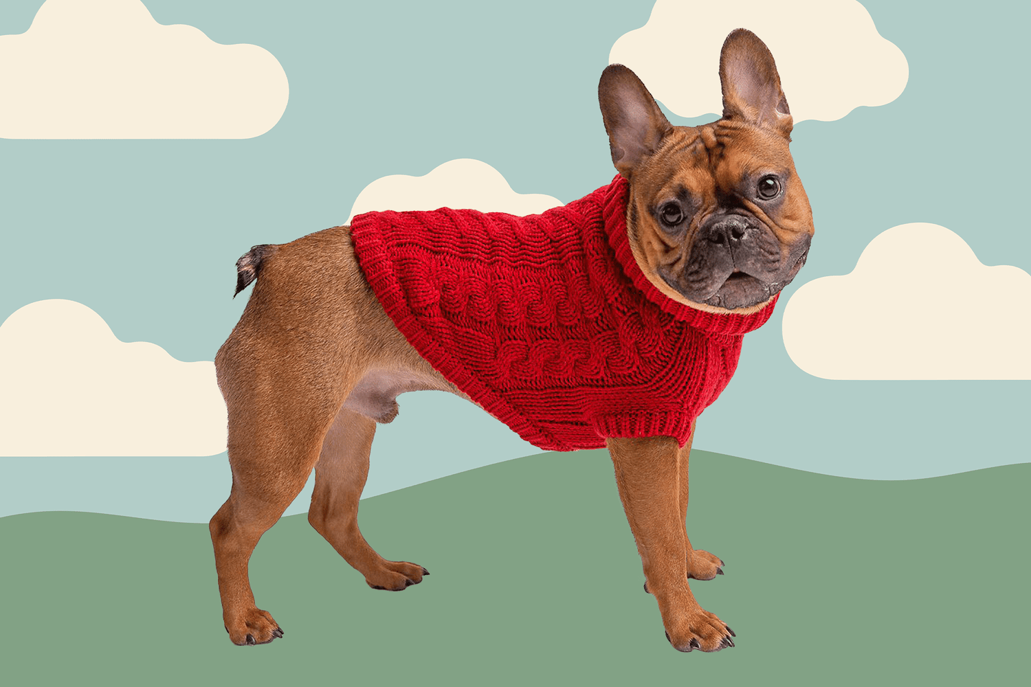 Norbi Pet Dog Sweater Small Dog Knitwear Thickening Warm Winter Knitting Sweater