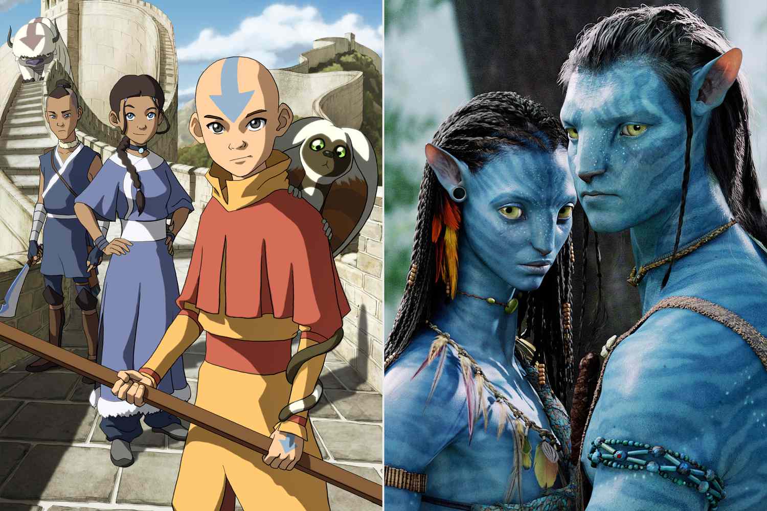 Why Avatar had to add The Last Airbender to its title 