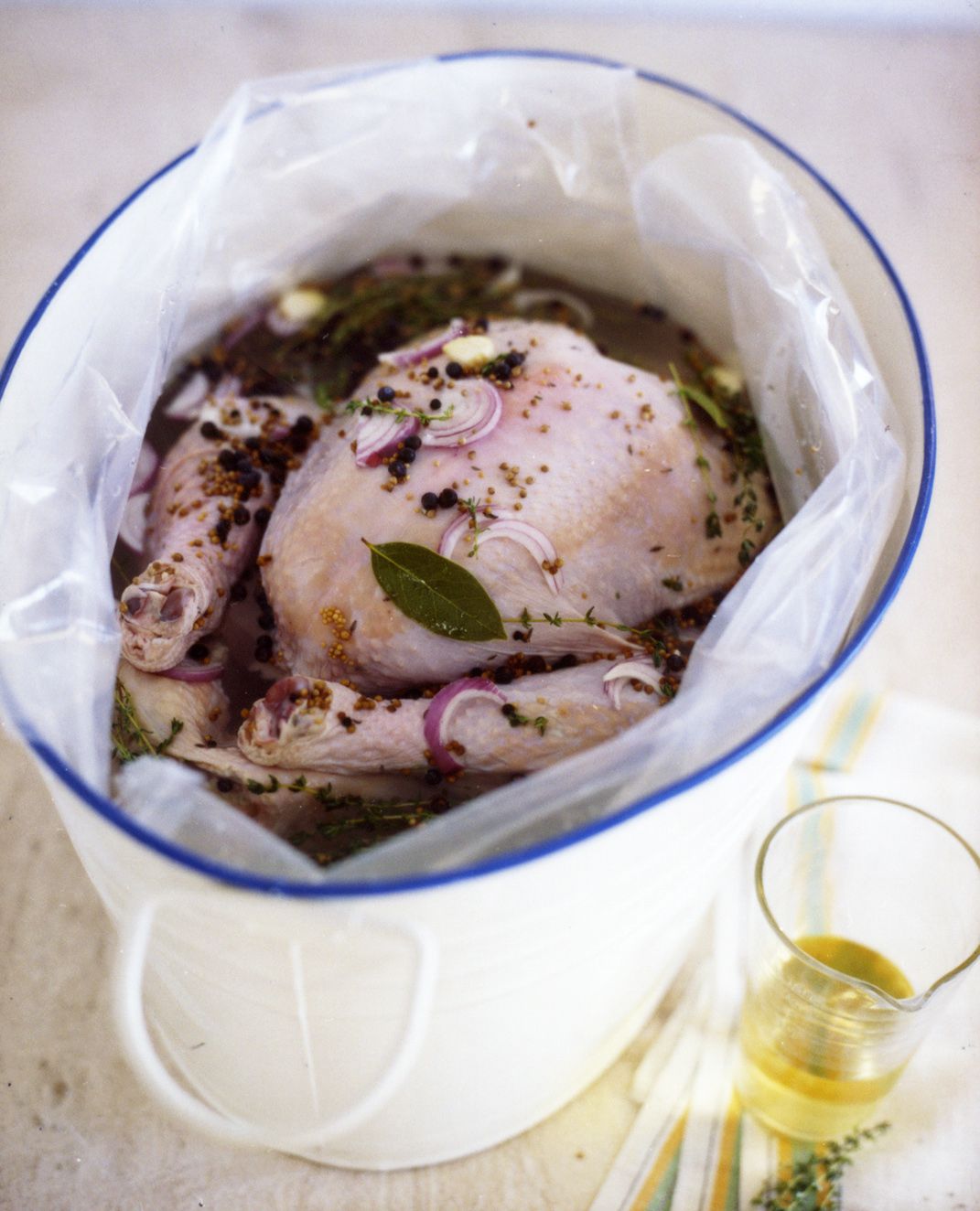 Everything You Need to Know About Using a Turkey Brine Bag