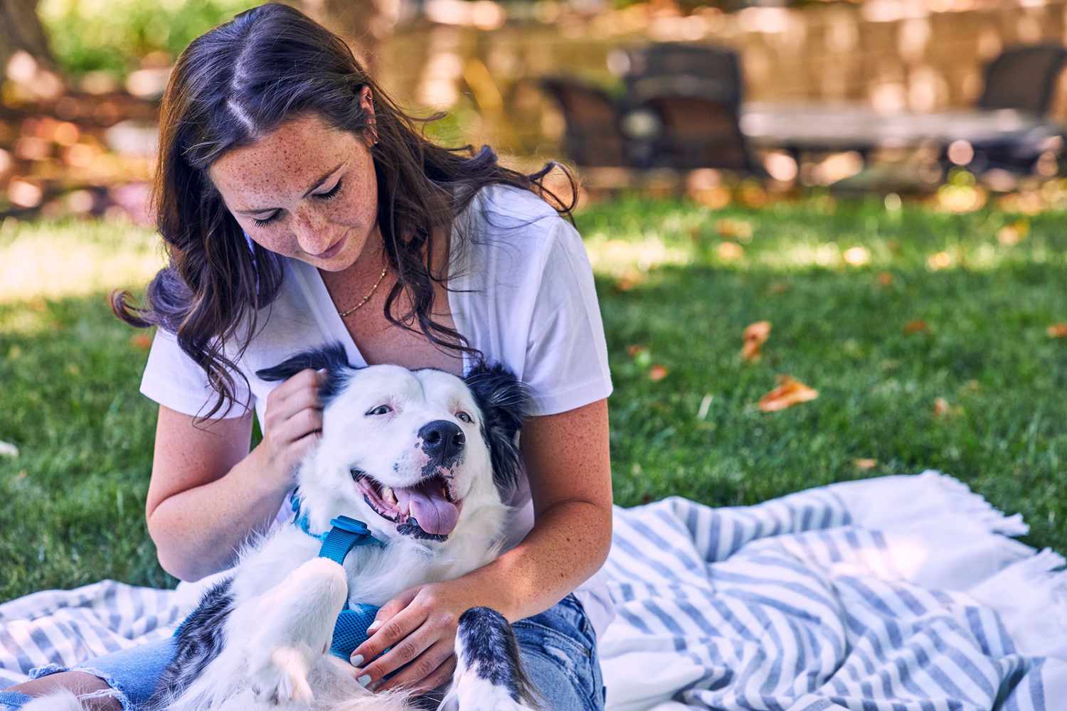Why Do Some Dogs Like to Cuddle—and Others Don't? A Behavior Expert Explains