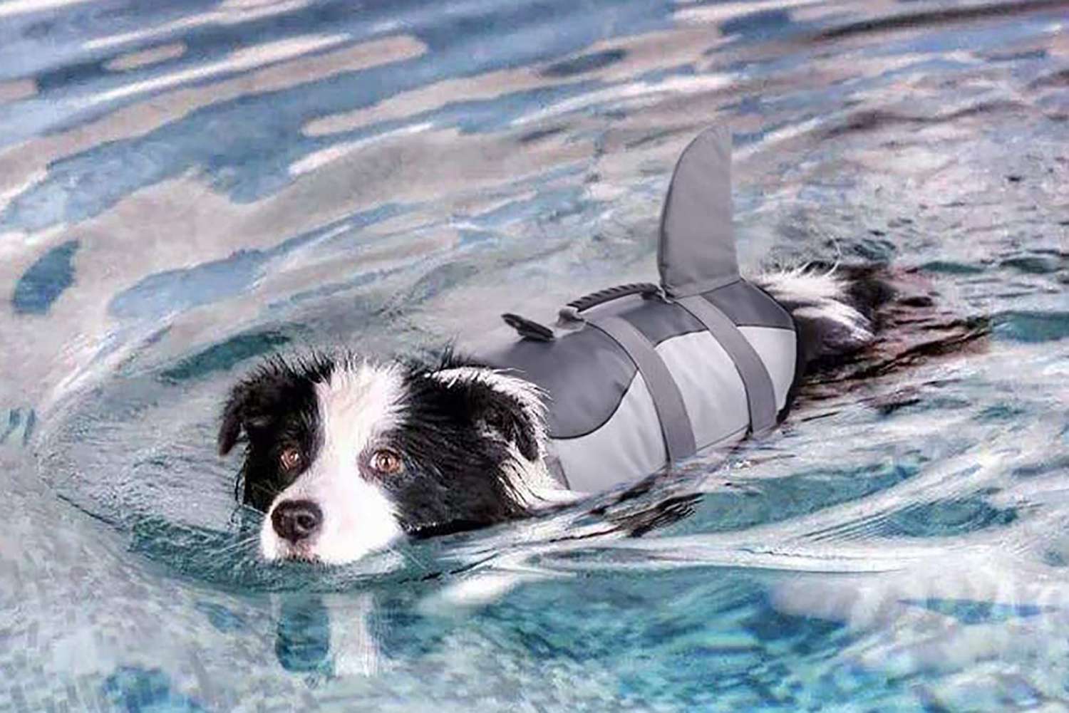 Dog Life Jacket Buoyancy Aid Pet Swimming Vest Boating Adjustable Foam Safe Suit 