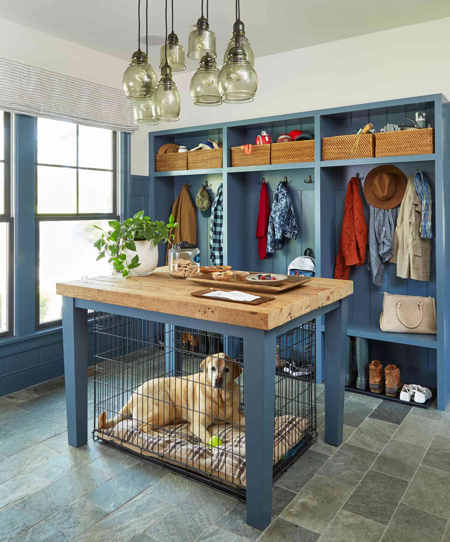 10 Dog Crate Ideas That Actually Look Good in Your Home | Daily Paws