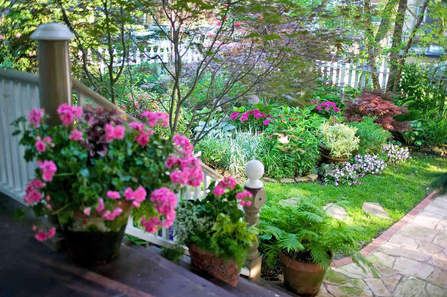 How to Grow Potted Plants, Both Inside and Outdoors   Better Homes ...