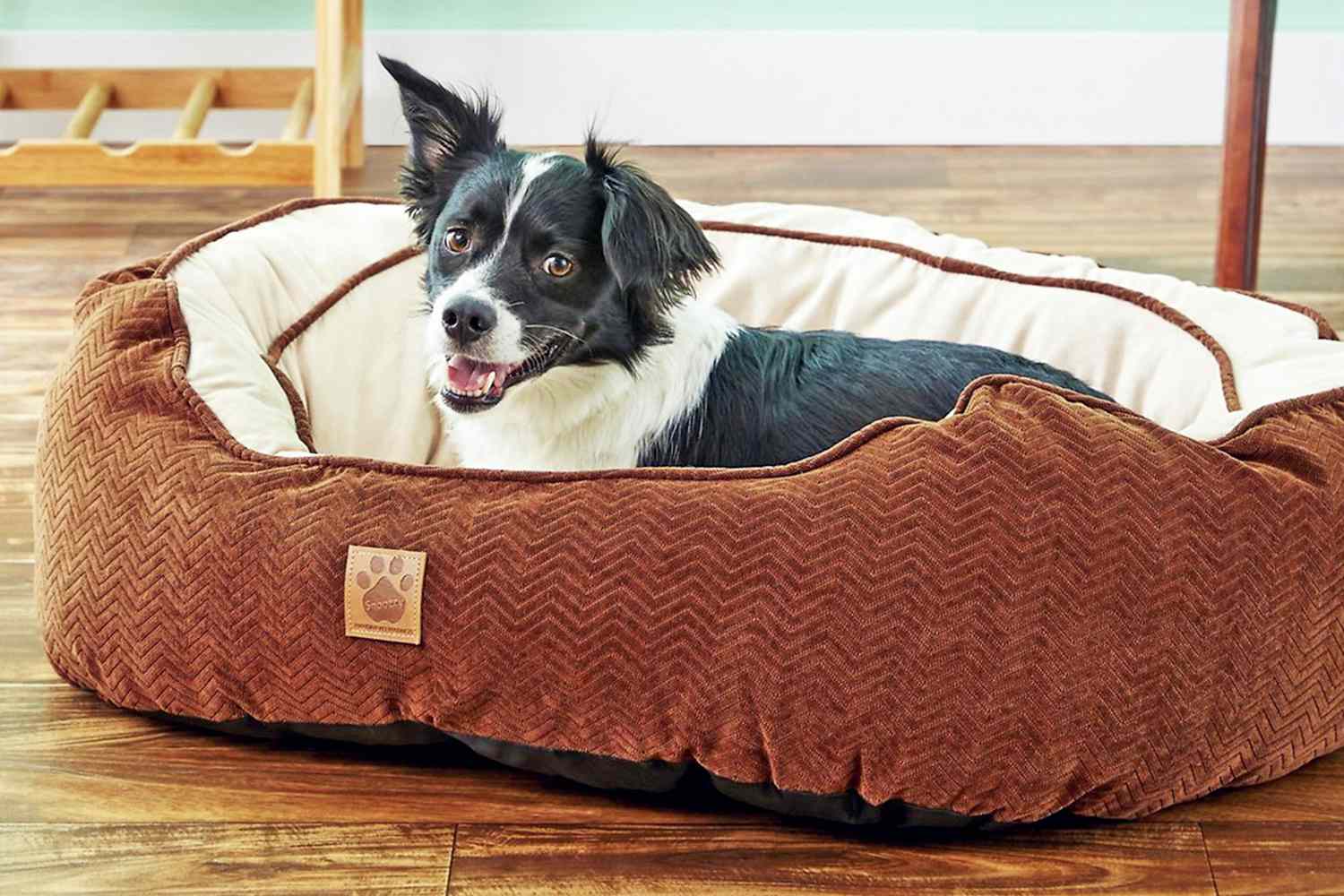 9 of the Best Chew-Proof Dog Beds, According to Real Pet ...