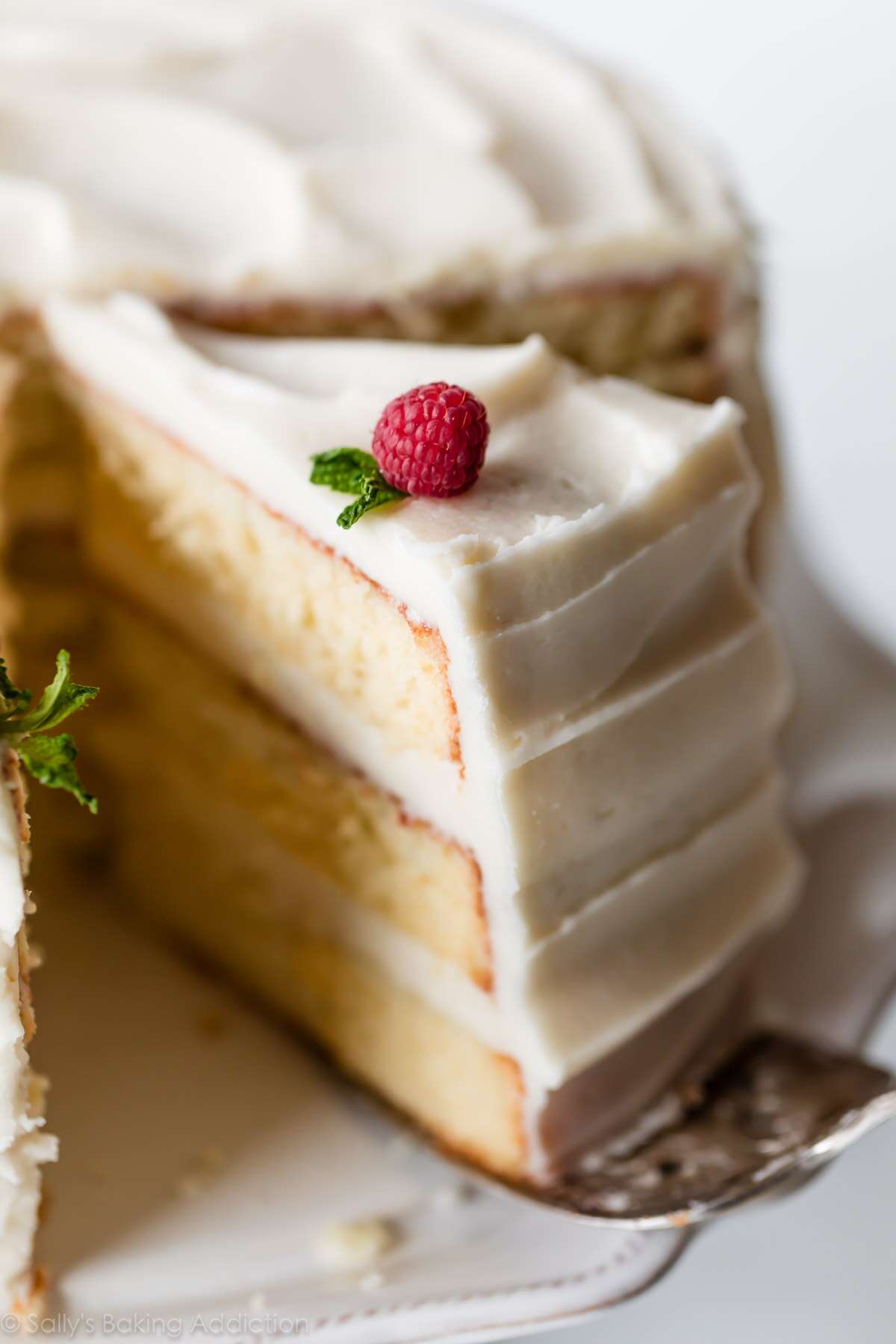 Easy Vanilla Cake Recipe | Allrecipes