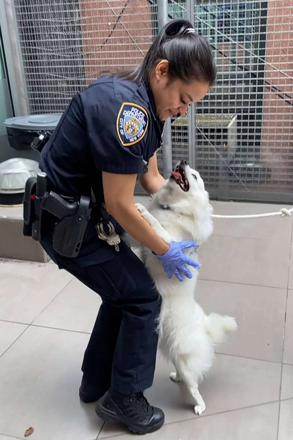 Policial da NYPD adota cachorro que ela resgatou de carro quente trancado: They 'Will Never Be Neglected Again'