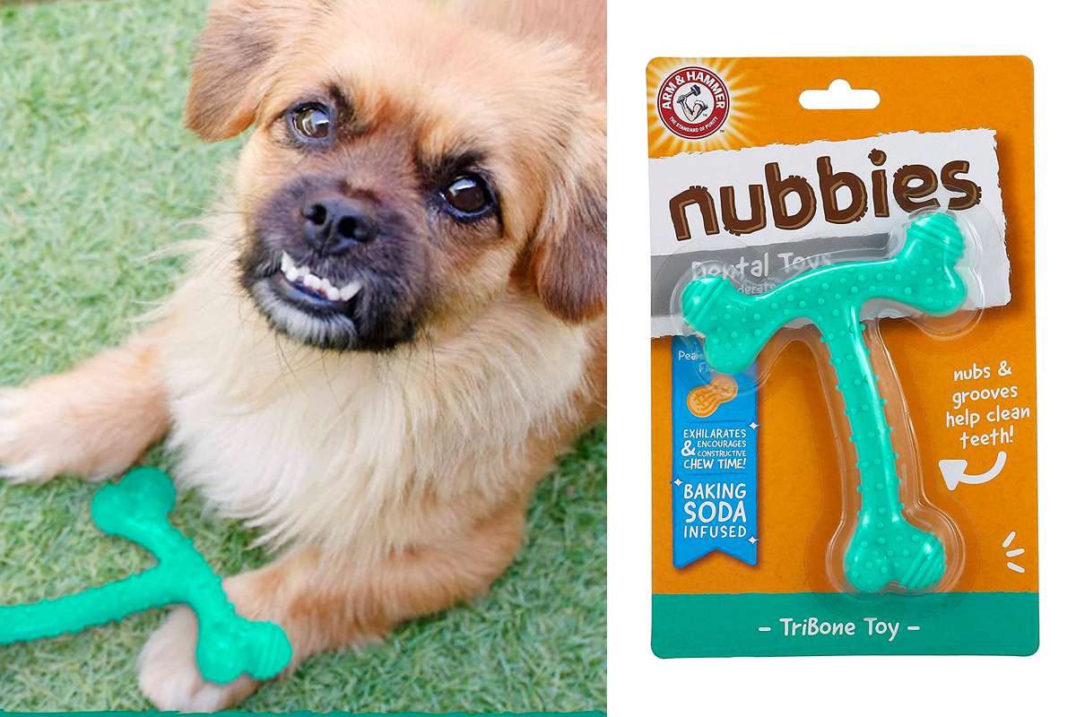 Nubbies Gator Dental Toy for Dogs Mint Flavor Arm & Hammer Single Pack