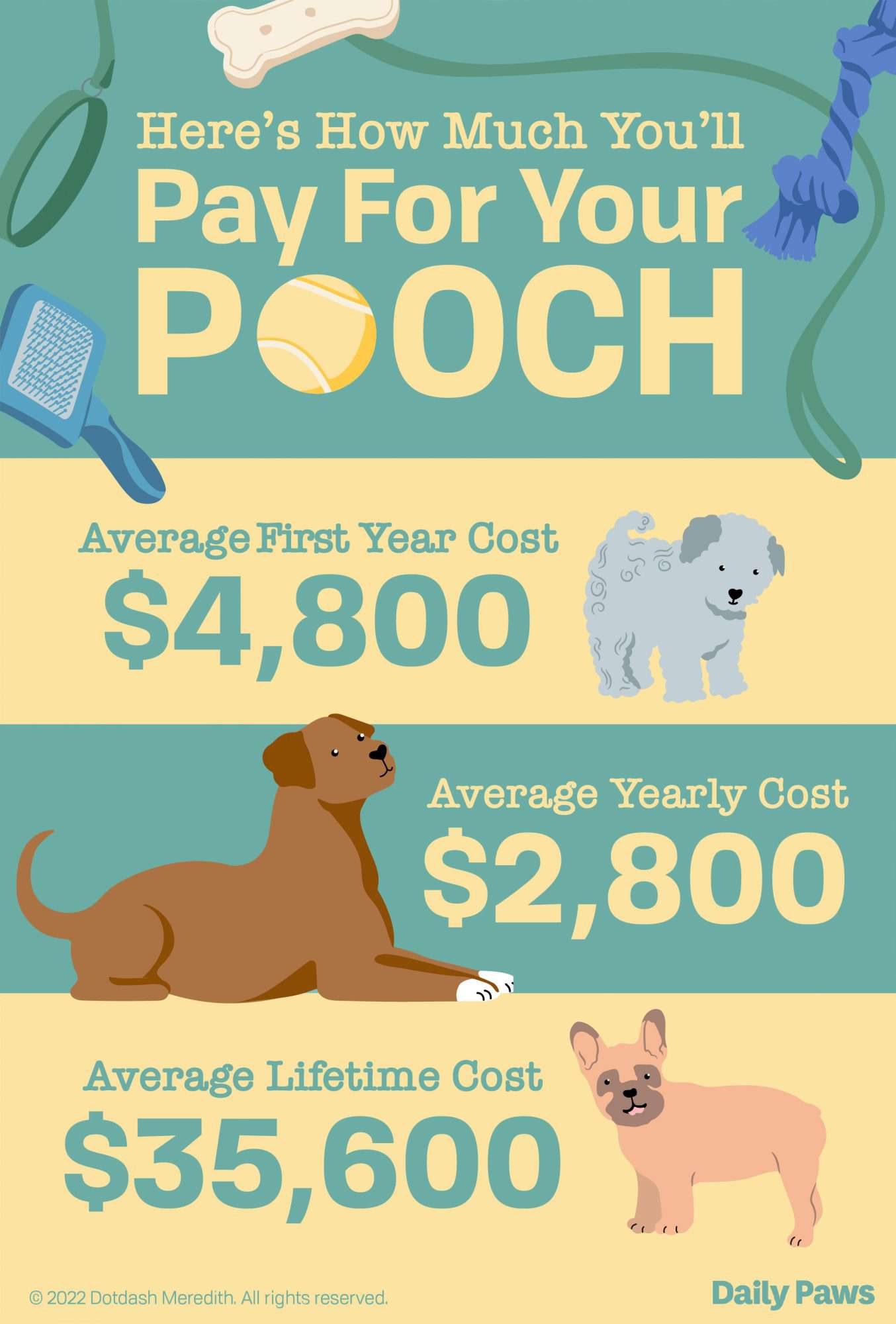 How Much Does a Puppy Really Cost? | Daily Paws