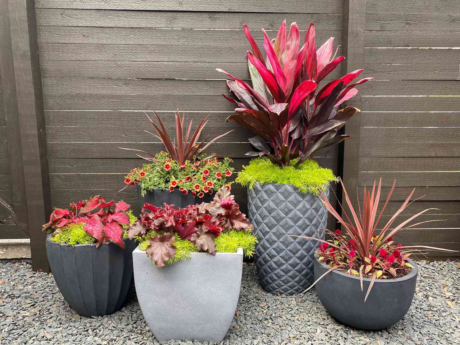 How to Group Container Gardens Together   Better Homes & Gardens
