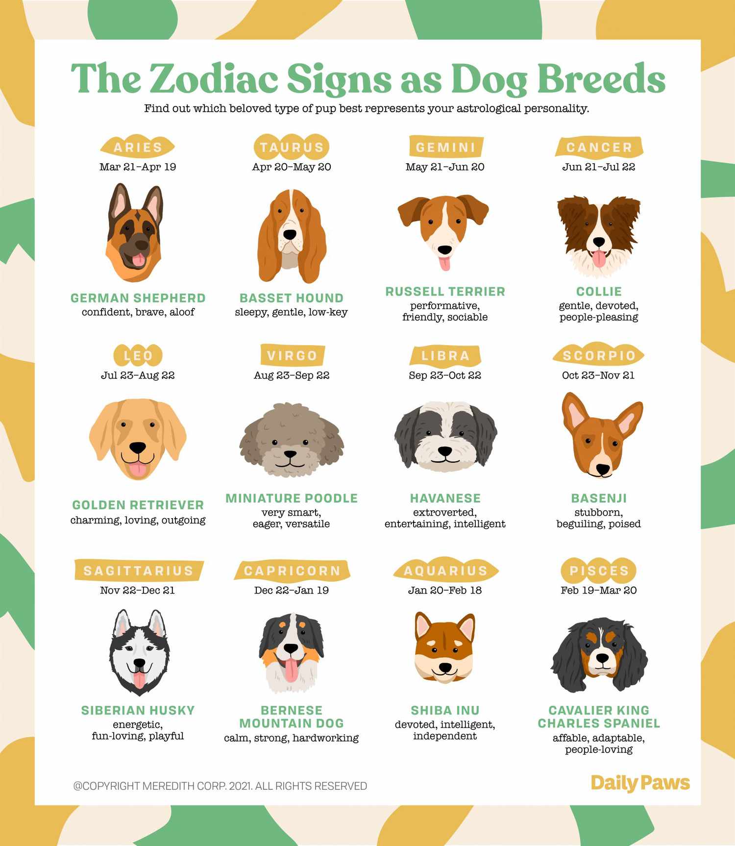 Which Dog Breed Would You Be Based on Your Zodiac Sign? | Daily Paws