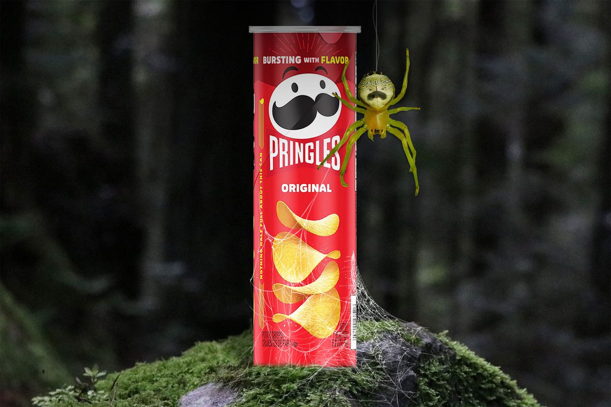 Pringles Is Trying to Rename a Spider Because It Looks Like Their Logo