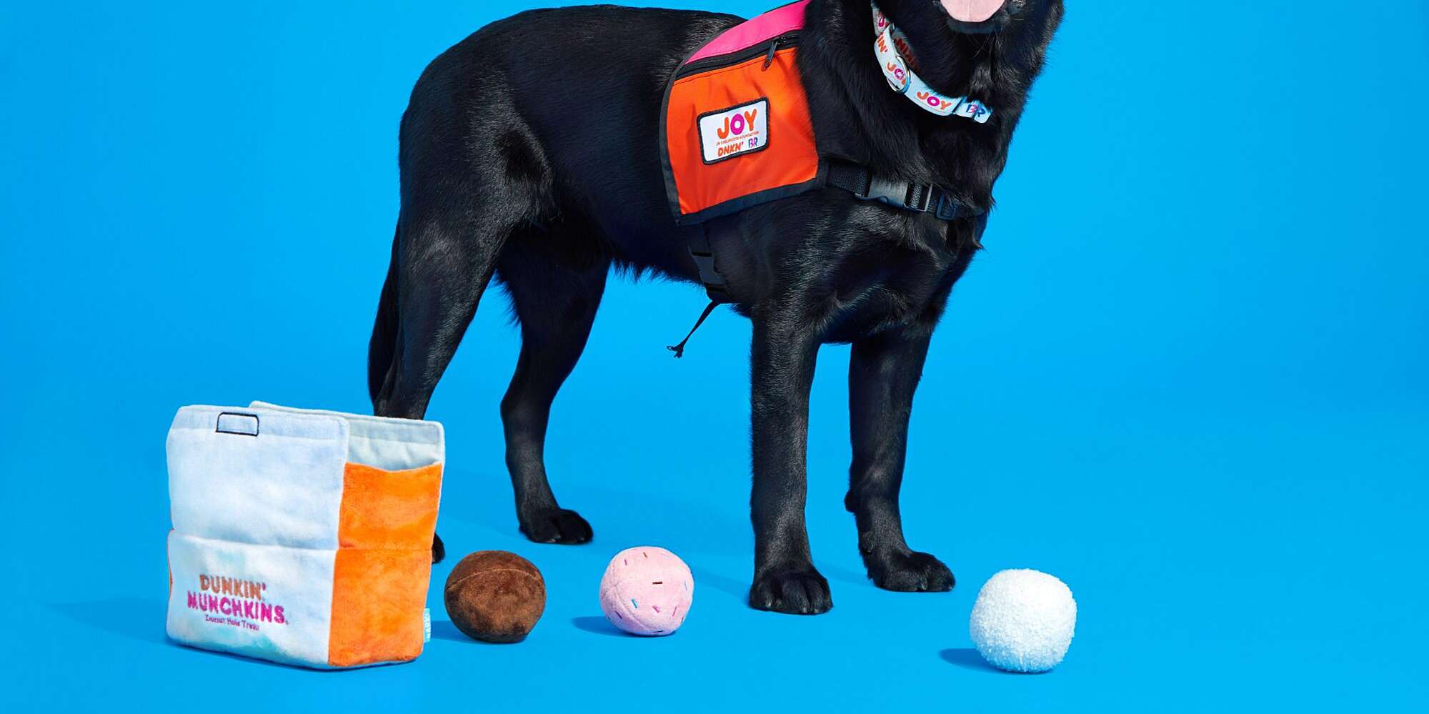 The Proceeds From These New Dunkin' Dog Toys Go to a Good Cause
