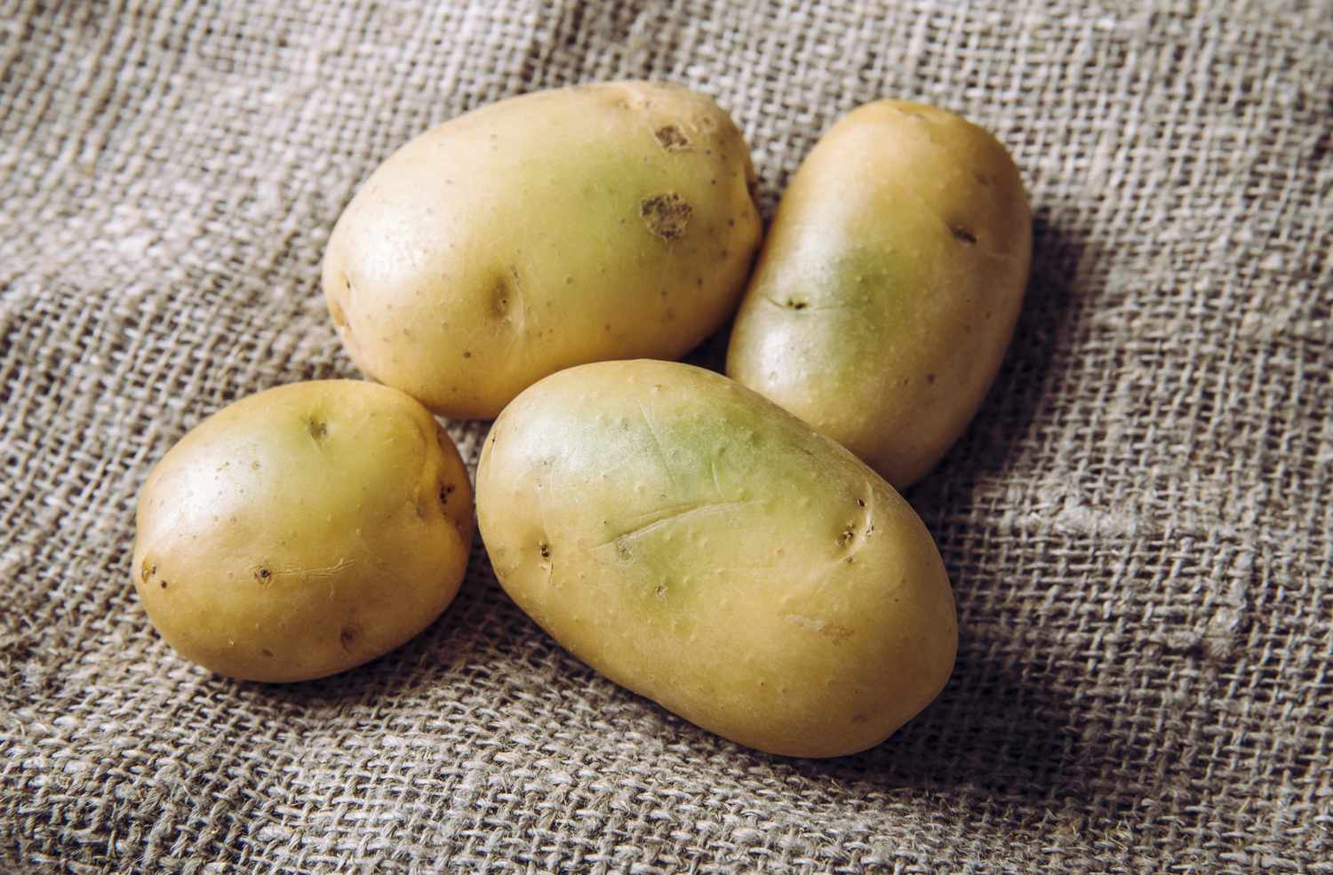 Potato Types of